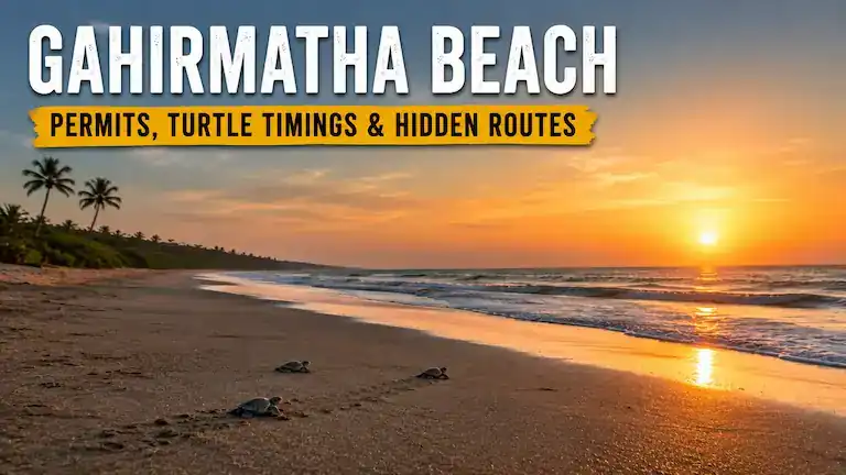 Gahirmatha Beach: Permits, Turtle Timings & Hidden Routes