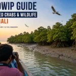 Tourists on a boat cruise observing mangroves and wildlife on a trip to Jambudwip island near Bakkhali.