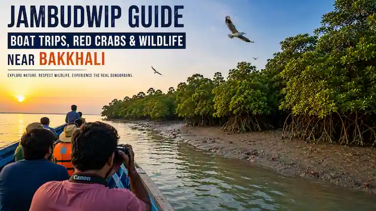 Jambudwip Guide: Boat Trips, Red Crabs & Wildlife Near Bakkhali
