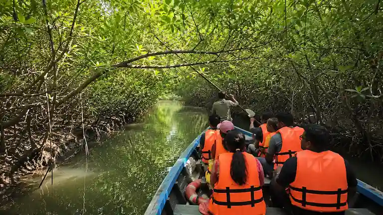 Tourists wearing life jackets on a wooden boat safari traveling through a dense green tree tunnel at Bichitrapur Mangrove Sanctuary.
