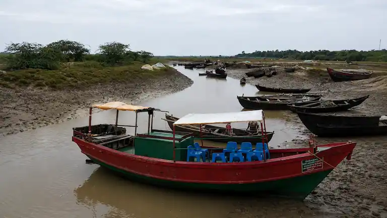 Boats docked in the low-tide mud at Bichitrapur Mangrove Sanctuary.