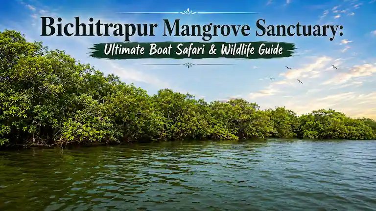 Bichitrapur Mangrove Sanctuary: Ultimate Boat Safari & Wildlife Guide