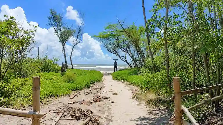 Sandy forest path leading to the beach at Henry Island.