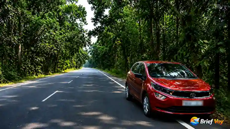 Joypur Forest Guide: Bankura’s Hidden Wildlife & Resorts