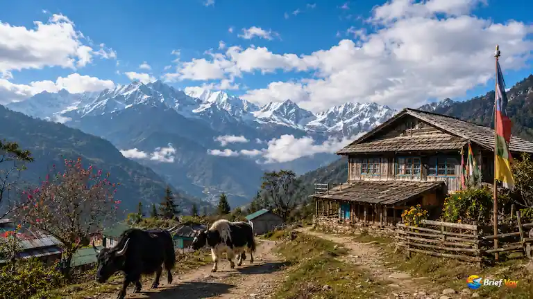 11 Offbeat Places in Sikkim: A Local Expert’s Secret Guide