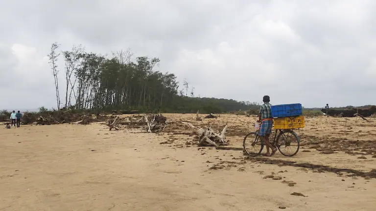 Local fish vendor pushing a bicycle with crates along Talsari Sea Beach.