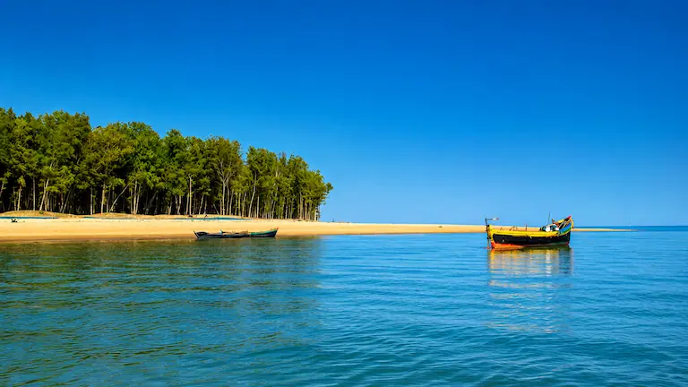 Talsari Sea Beach: Guide to Odisha’s Red Crab Coast