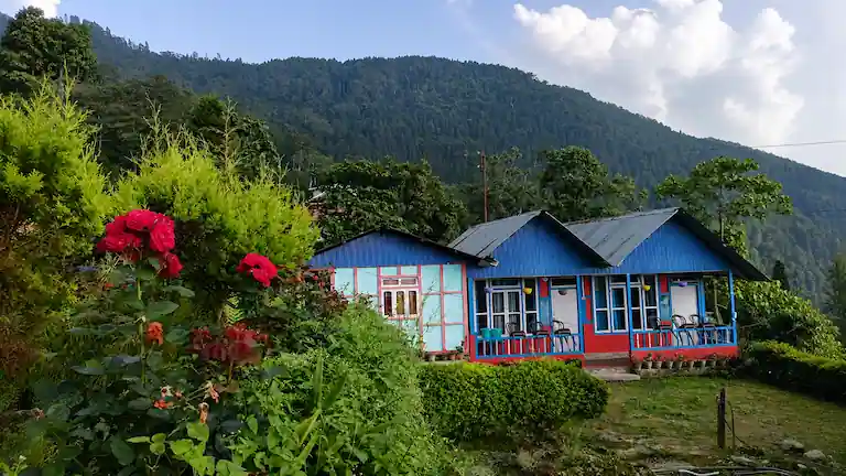 A traditional colorful homestay cottage in Icche Gaon surrounded by green pine forests.
