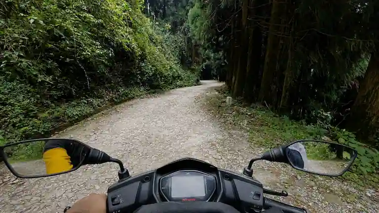 A bumpy boulder mountain road passing through pine forests in offbeat places in North Bengal.