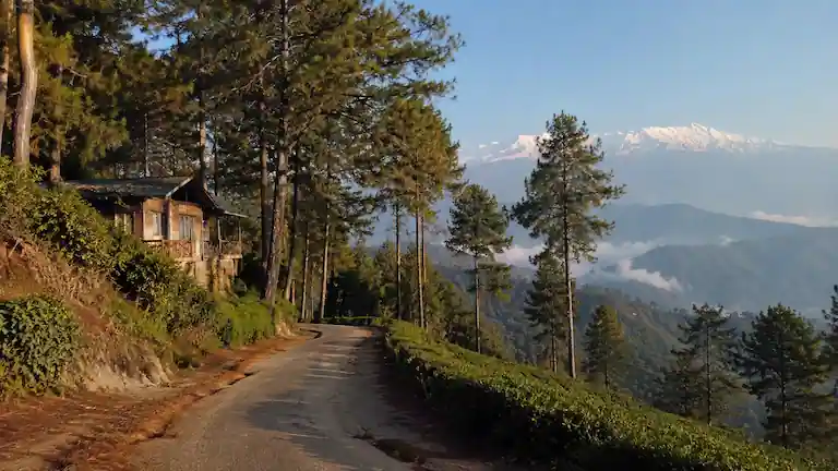Offbeat Places Near Mirik: 9 Hidden Local Secrets