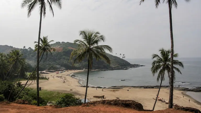 View of the rocky shoreline and palm trees from the red cliffs at Vagator, one of the famous north goa beaches.
