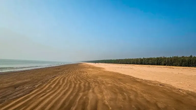 Flat muddy seabed and tidal ripples at Chandipur Beach low tide.