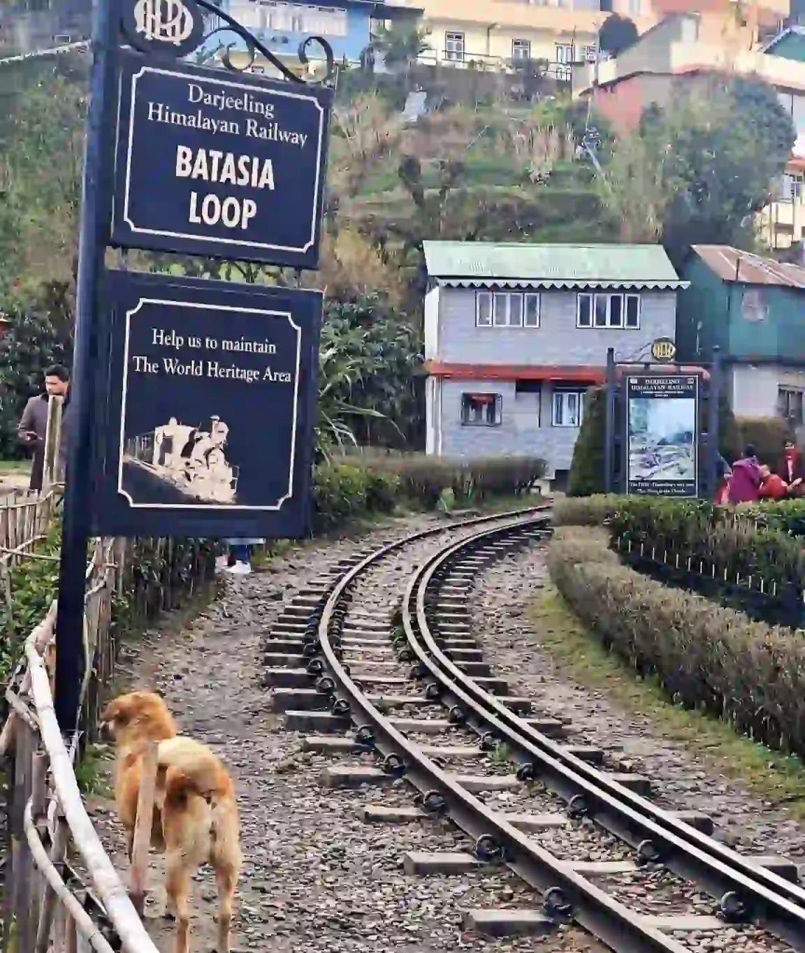 Railway tracks and the Batasia Loop heritage sign for the Darjeeling Himalayan Railway.