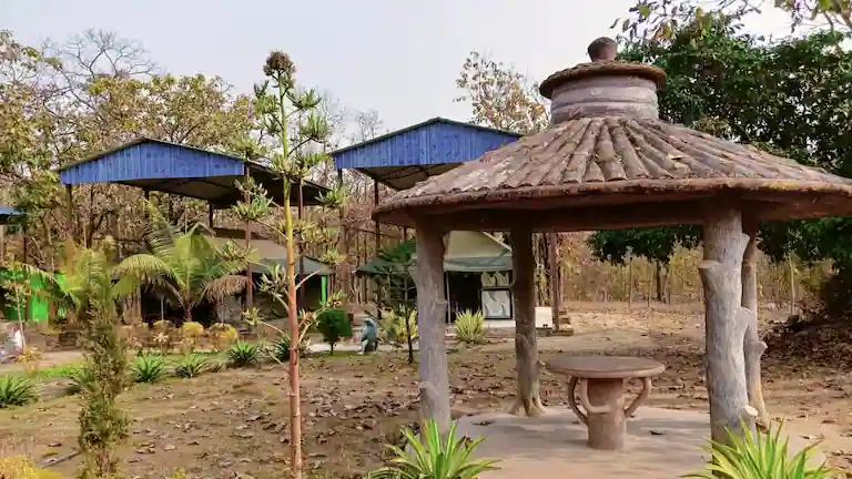 Green eco-tents with blue tin roofs and a seating gazebo surrounded by forest trees at Kuldiha Nature Camp.