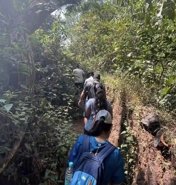 Group of hikers walking on a narrow dirt trail through the trees on the Gokarna Beach Trek.