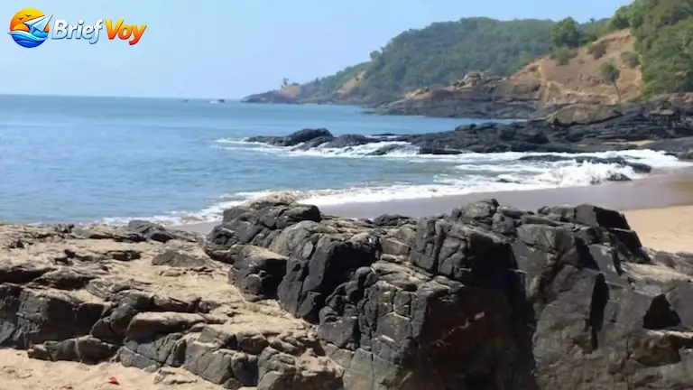 Sharp black rocks on the Gokarna Beach Trek trail.