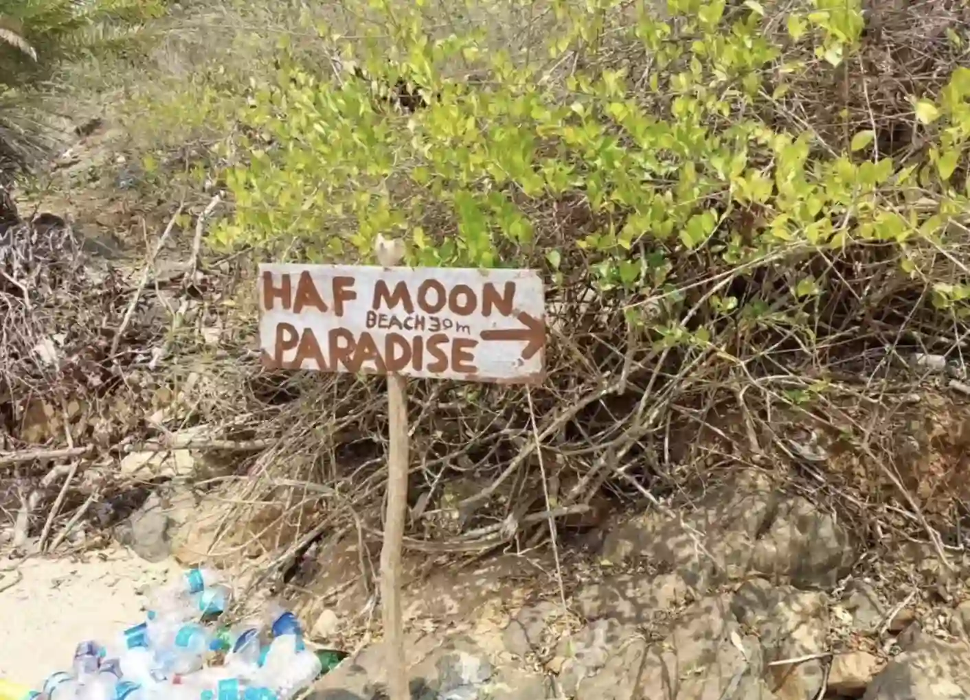 Wooden trail sign for Half Moon and Paradise beaches.