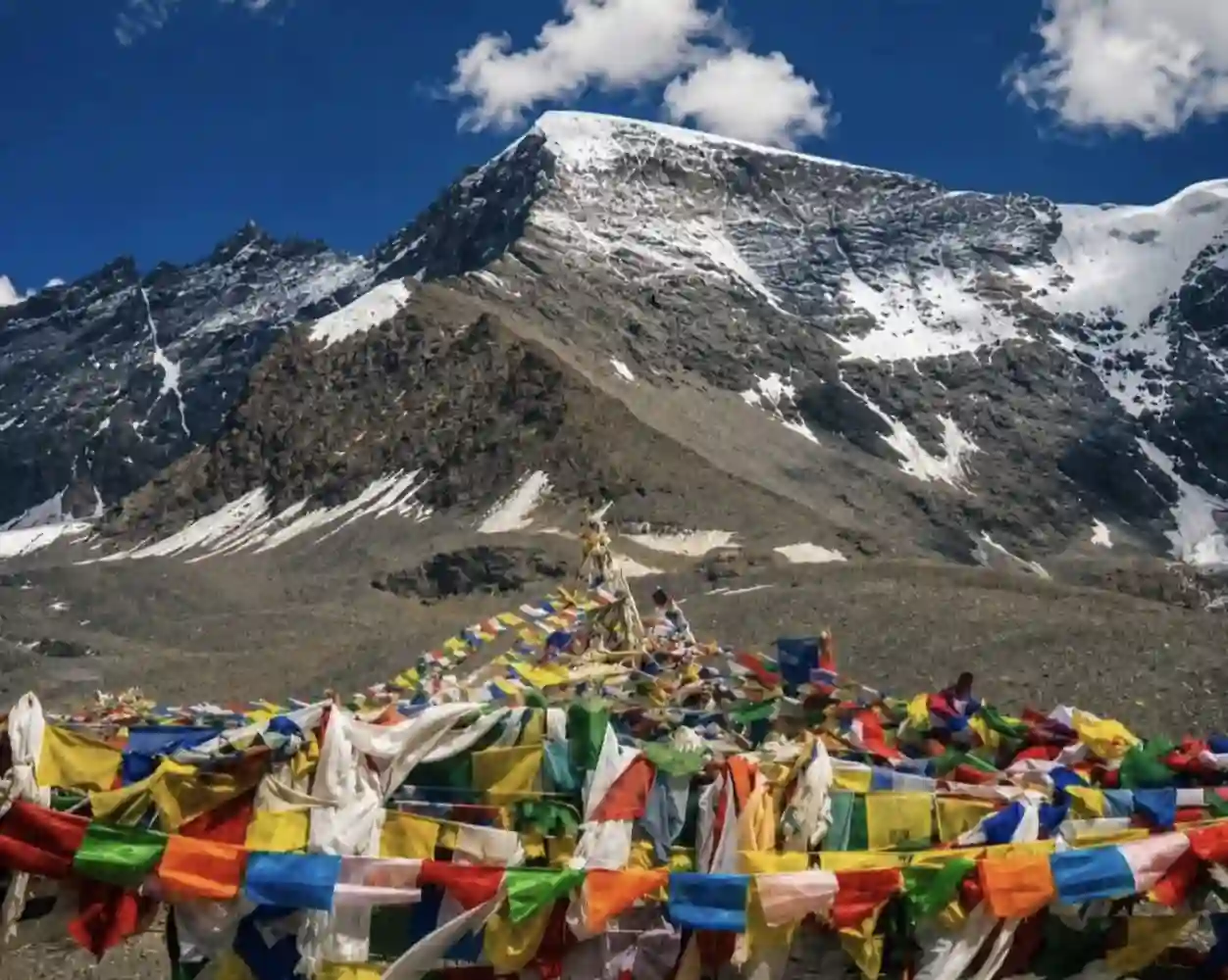 Colorful Buddhist prayer flags tied at the Shinkula Pass summit with a snow-capped mountain peak in the background